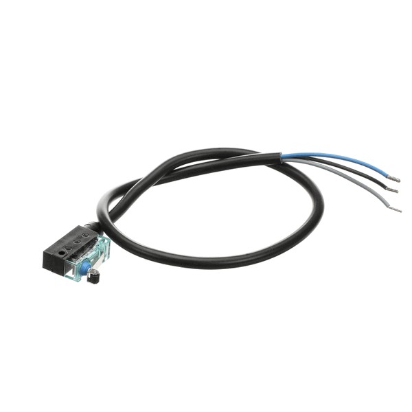 Bizerba 000000060386101200 Switch With Roller 15A 240V
