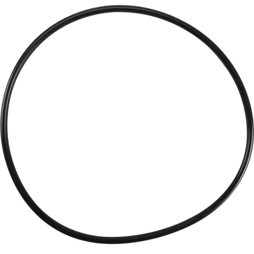 Everpure 143273 O-Ring,Housing