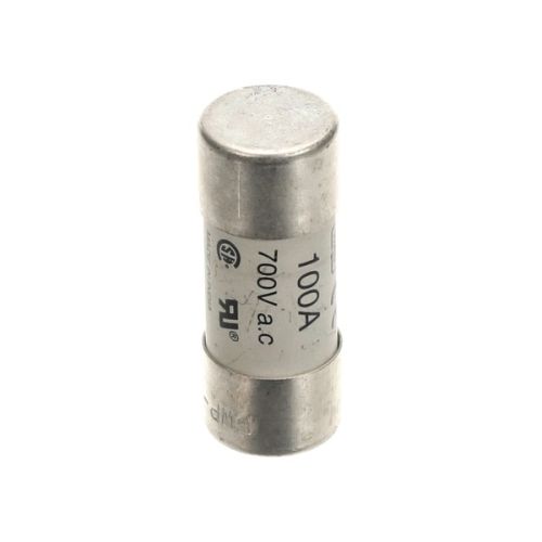 Electrolux 0CA148 Fuse 100A 22mmX58mm 700V