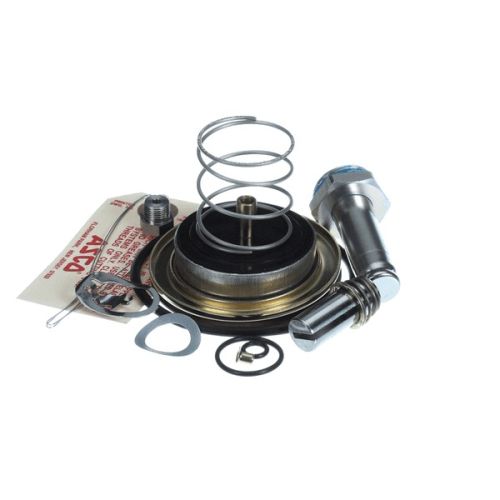 Stero 0P-542829 Steam Valve Repair Kit 1-1/4"