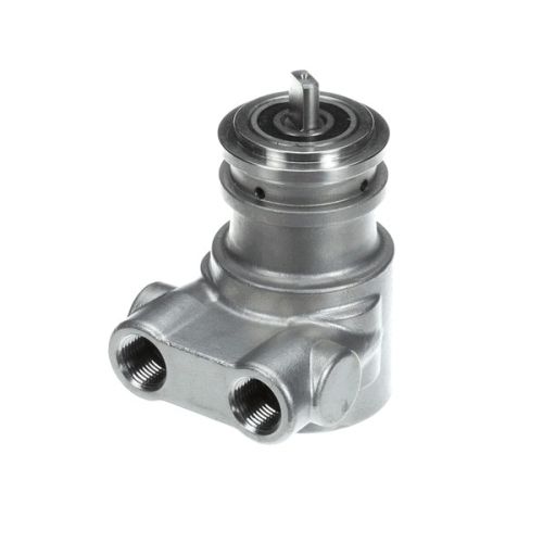 Multiplex 113A100F31XX Carb Pump SS 100 GPH No Strain