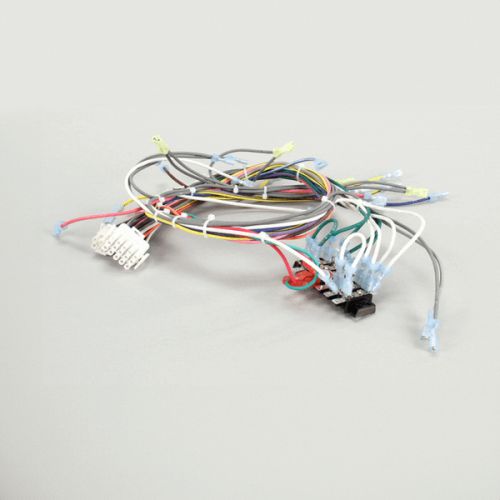 Southbend 1180482 Oven Gas Wire Harness 120V