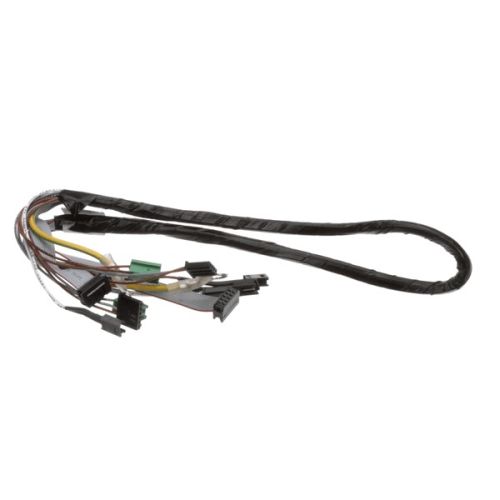 Fagor 12114419 Dishwasher Bottom Wiring Harness