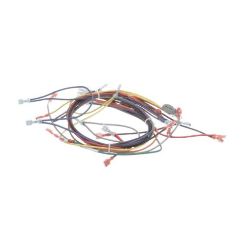 Blodgett 21056 Control Panel Wire Harness