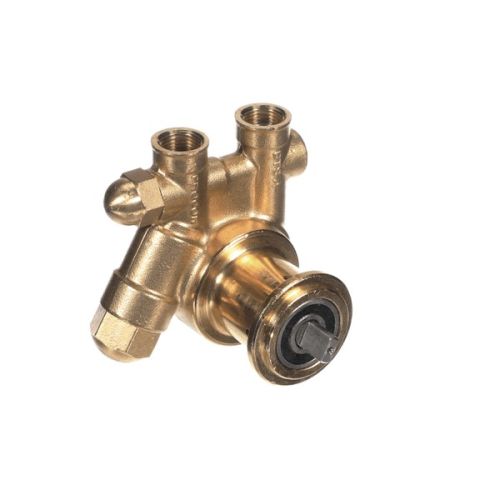Multiplex 5009613 Counter Electric Brass Pump Rotary Vane 125 GPH