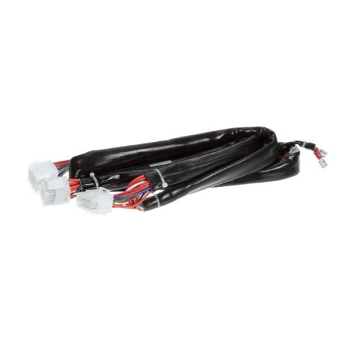 Frymaster 8074195 Fryer Wire Harness Dual Vat RE