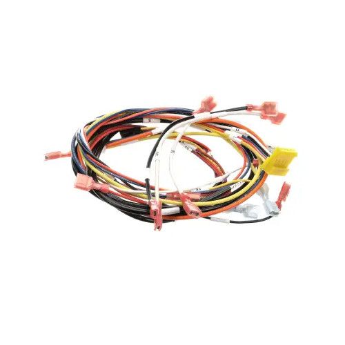 Roundup - AJ Antunes AJA0700975 Egg Station Dual Zone Wire Harness