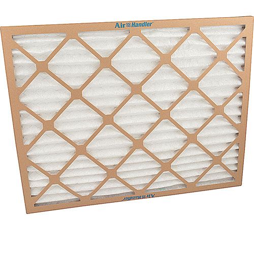Allpoints 1241580 Air Filter hvac,20X25X1,M Erv7 Case/12