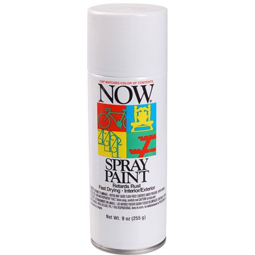 Allpoints 1431041 White Enamel Spray Paint 