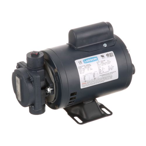 Allpoints 2271005 Filter Pump Motor, 1/2HP , 110-115V/220-230V