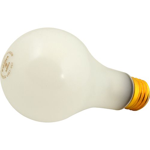 Allpoints 2531145 Shatter Resistant Bulb (100W)
