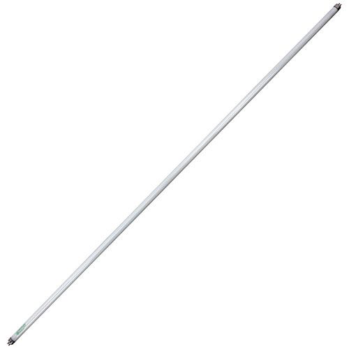 Allpoints 381571 Bulb - Flourescent 