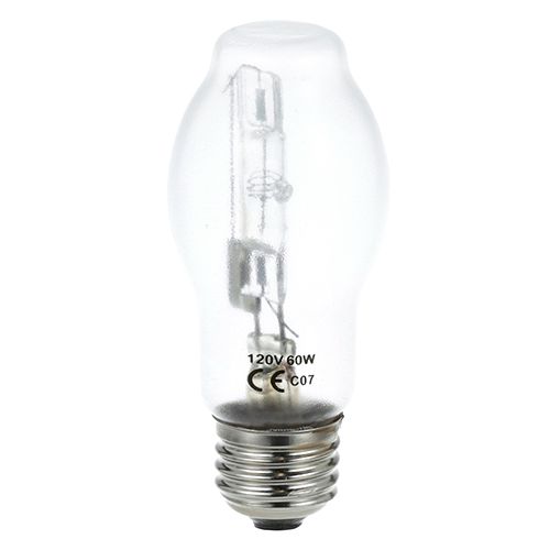 Allpoints 8011016 Coated Halogen Lamp - 120V, 60W, Clear