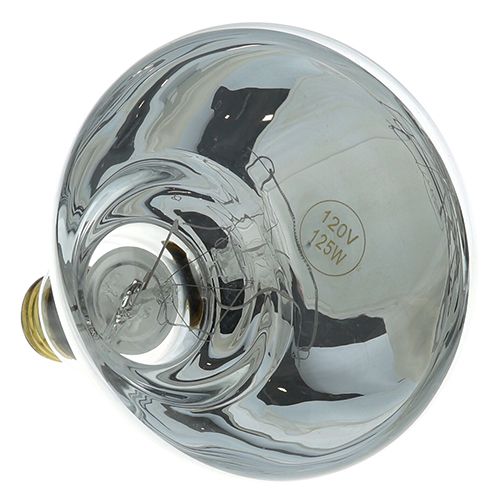 Allpoints 8011024 Clear Heat Lamp: 120V/125W