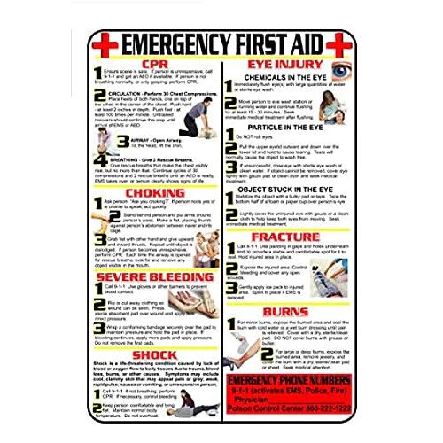 Allpoints 8408499 First-Aid/Choking Poster (11" X17")