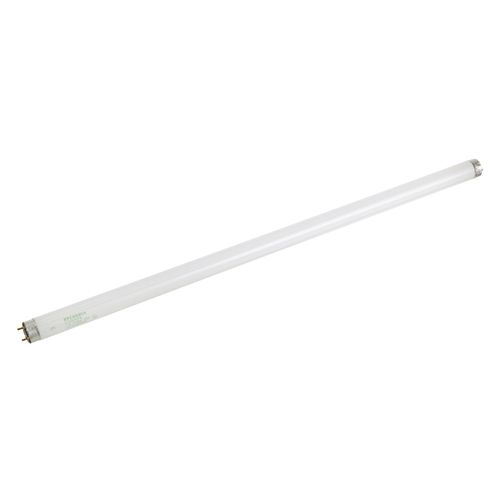 Anthony 60-11003-0001 Fluorescent Bulb, T-8, 24"
