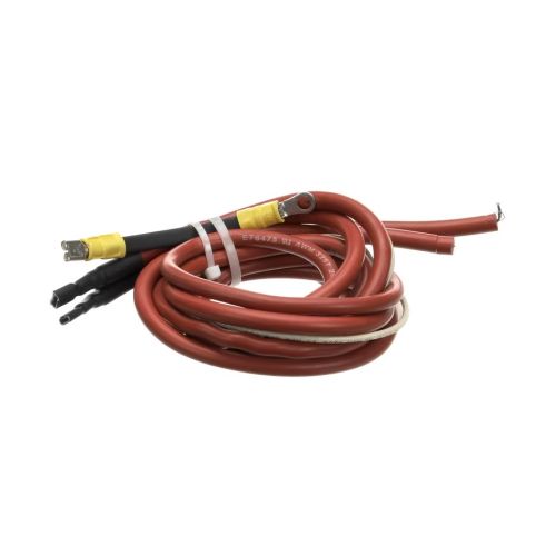 Baxter 01-1M3088-00001 Oven Ignition Wire Kit