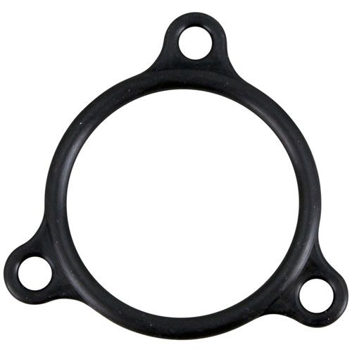 Champion 109985 Electric Heater Flange Seal Gasket 