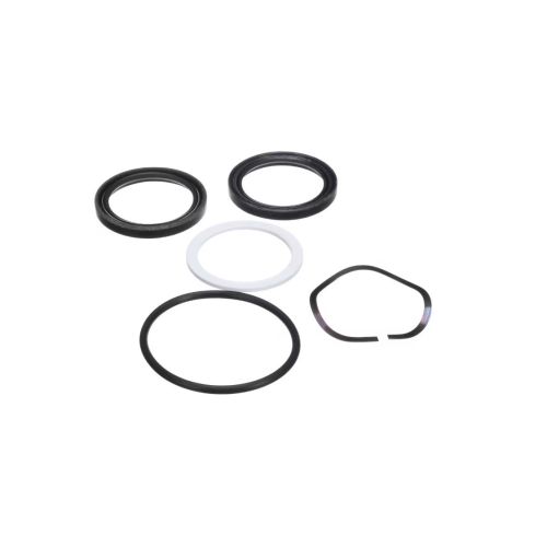 Cleveland 1H800-0000022 HAK Kettle Shaft Seal Kit 300 Gallon