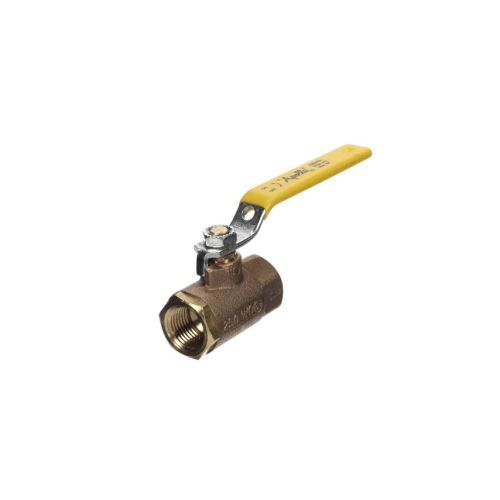 Cleveland FK222121 Ball Valve Kit 1/2" Female/Female
