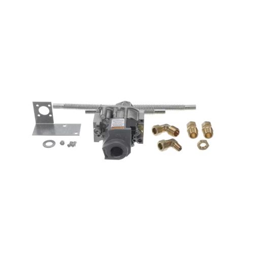 Cleveland S106404 Natural Gas Valve Assembly 21CG A5