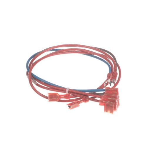 Cornelius 620323738 Main Harness E-Box To Transformer