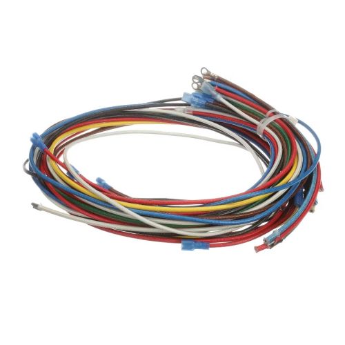 Crown Steam 4204-12 Wire Harness Assembly EC-20T