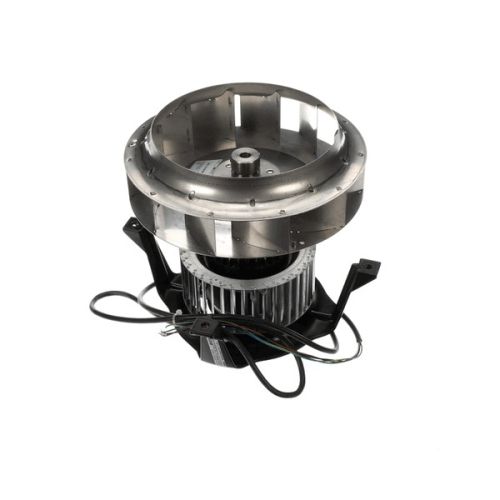 Dinex DX14314213 Motor Assembly Hot Side 208/230V