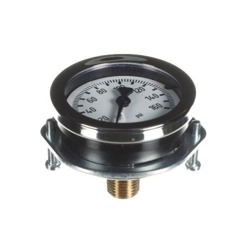 Everpure 530-20018 Pressure Gauge 2" 160 PSI 1/4" MPT CBM PNL