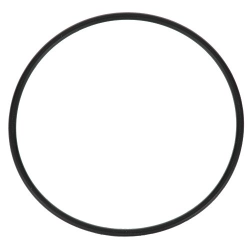 Everpure EV3071-19 O-Ring