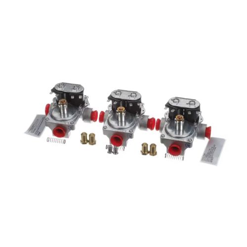 Garland 4516462 Propane Gas Conversion Kit 24V 60Hz CG48