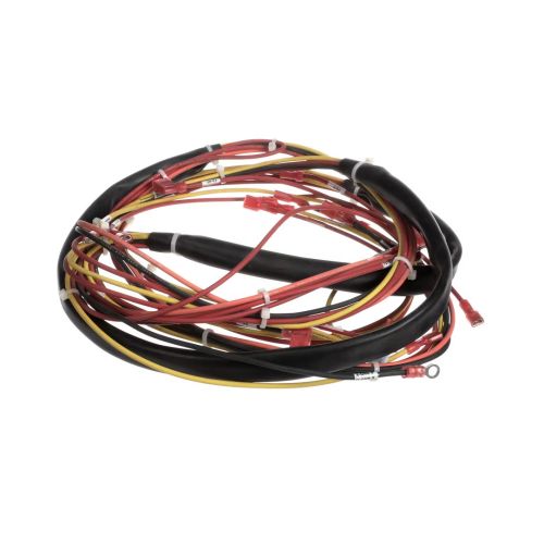 Groen 123779 Kettle Wire Harness