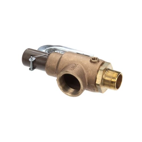 Groen N69806 Safety Valve 100 PSI