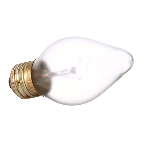 Hatco 02.30.043.12 Coated Bulb 120V 12-Pack