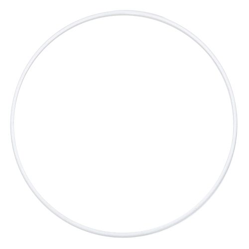 Hoshizaki 431736-01 Ring 