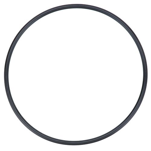 Hoshizaki 4A4755-04 O-Ring Jis G90