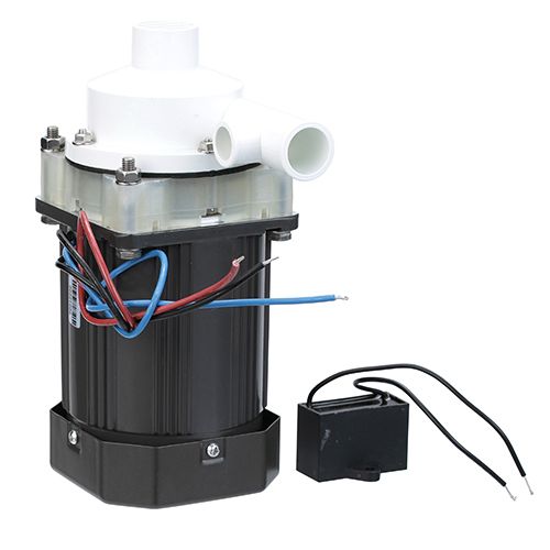 Hoshizaki HOSHS-0178 120V Pump and Motor Assy, 60HZ