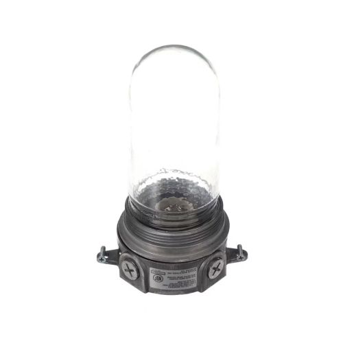 Kason 11804LG0000 Light Fixture W/Coated Globe Vaporproof