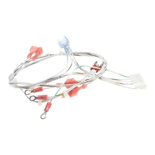 Lang 2E-EZG-713-2 Burner Valve Wire Harness 224T