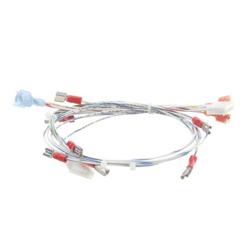 Lang 2E-XL-587-W1 Griddle Wiring Harness 24V/CT SLT Over Temperature