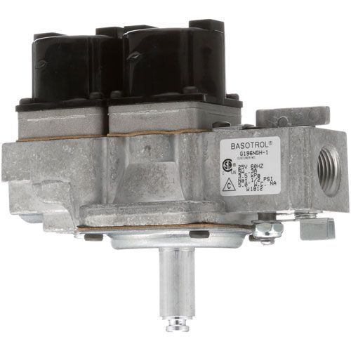 Lang 80505-02 Dual Gas Solenoid Valve 24V