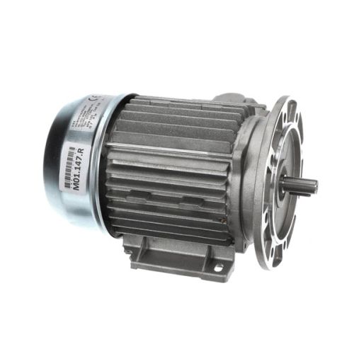 Stoelting M01.147 Drive Motor 220V 60HZ 3 PH