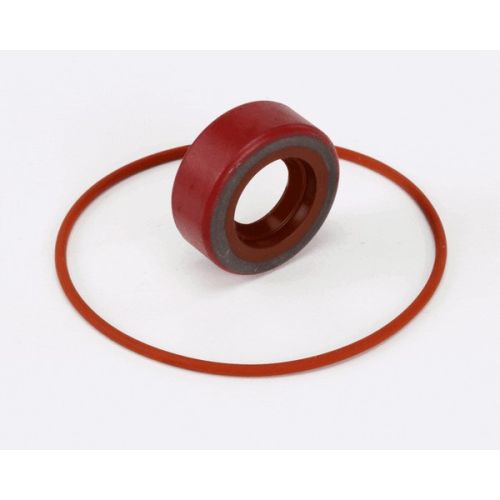 BKI (Barbeque King) RK0004 Haight Pump Repair Kit