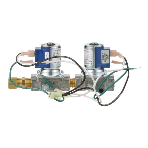 Southbend SOU1194597 Dual Solenoid Valve - 120V