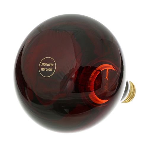 Star 2S-Y1508 Infra-Red Lamp 120V, 250W