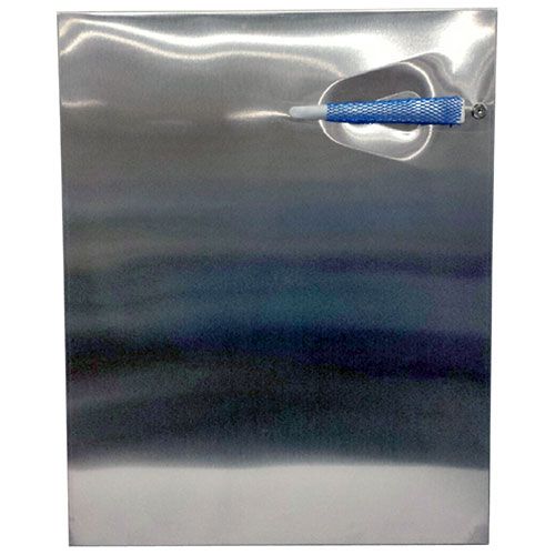 Traulsen SK-200-39300-02 Door RH Top/LH Bottm 