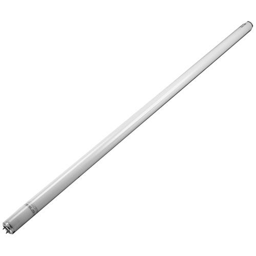 True 801125 Fluorescent  Bulb T-8, 48", Pack/6