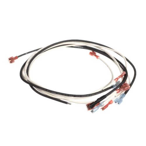 Wells 2E-Z22156 Wire Kit BWB