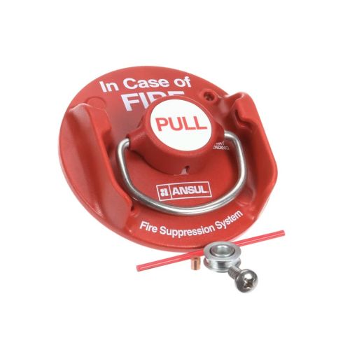 Wells 2O-308131 Remote Pull Station Red